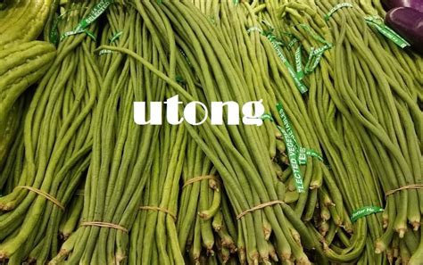 Tulo ng utong .